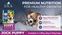 Premium nutrition for healthy growth | JOCK Puppy