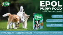 A great start for little paws | EPOL Puppy Food