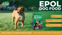 A favourite for everyday feeding | EPOL Dog Food