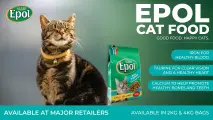 Good food. Happy cats. | EPOL Adult Cat Food