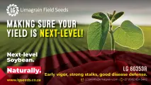LG 60353R Soybean | Early vigor, strong stalks & good disease defense