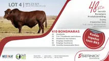 Sernick Bonsmara 48ste produksieveiling | 4 September 2026 | 11:00 | Sernick Veilingskompleks, Liebenbergstroom