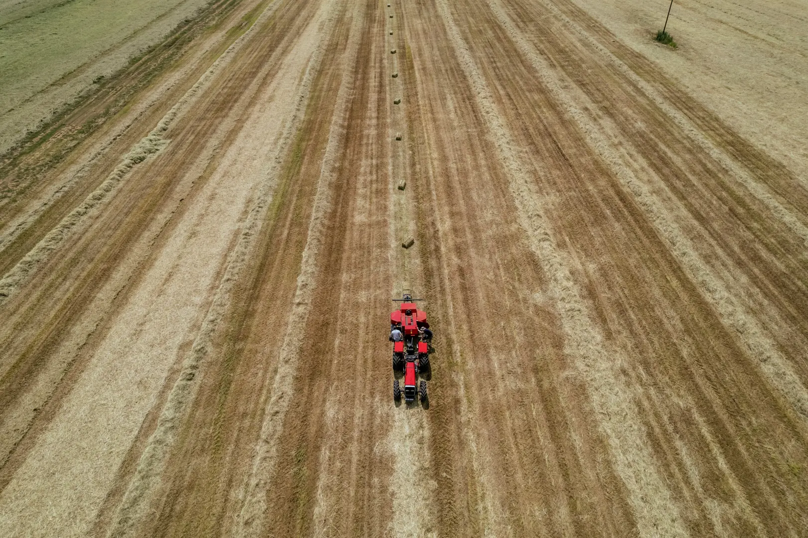 Massey Ferguson 1840 small square baler
