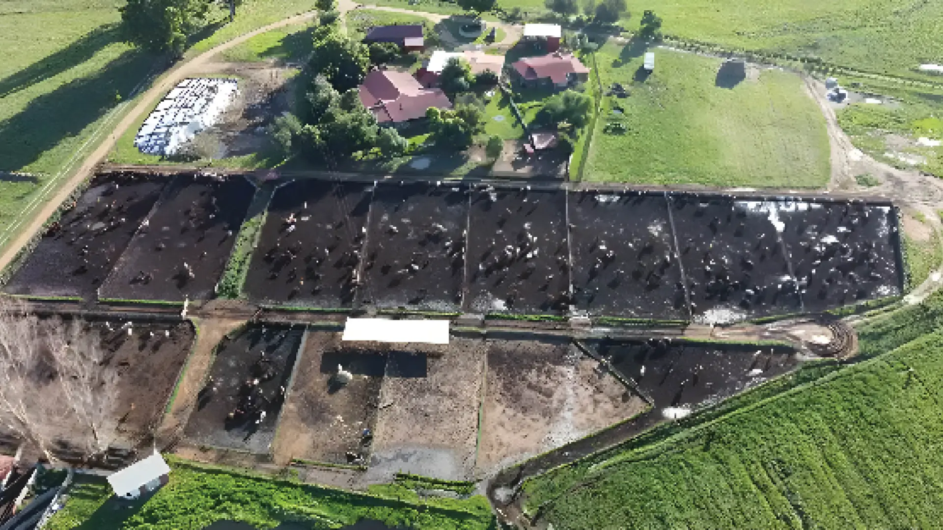 Venditor Business Rescue Auction: ±38 Ha Cattle Feedlot Farm &amp; Implements | 16 September 2026 | Heidelberg 