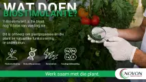 Biostimulante: Werk saam met die plant | Novon