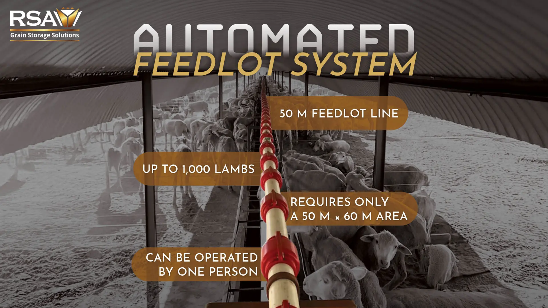 Automated feedlot systems | RSA Grain Storage Solutions