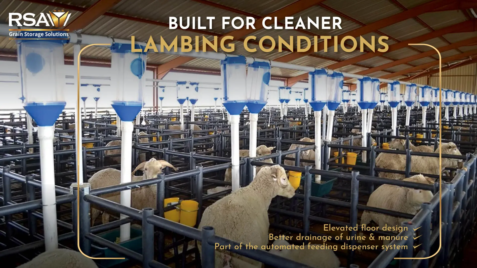 Lambing Pens | Built for cleaner lambing conditions | RSA Grain Storage Solutions