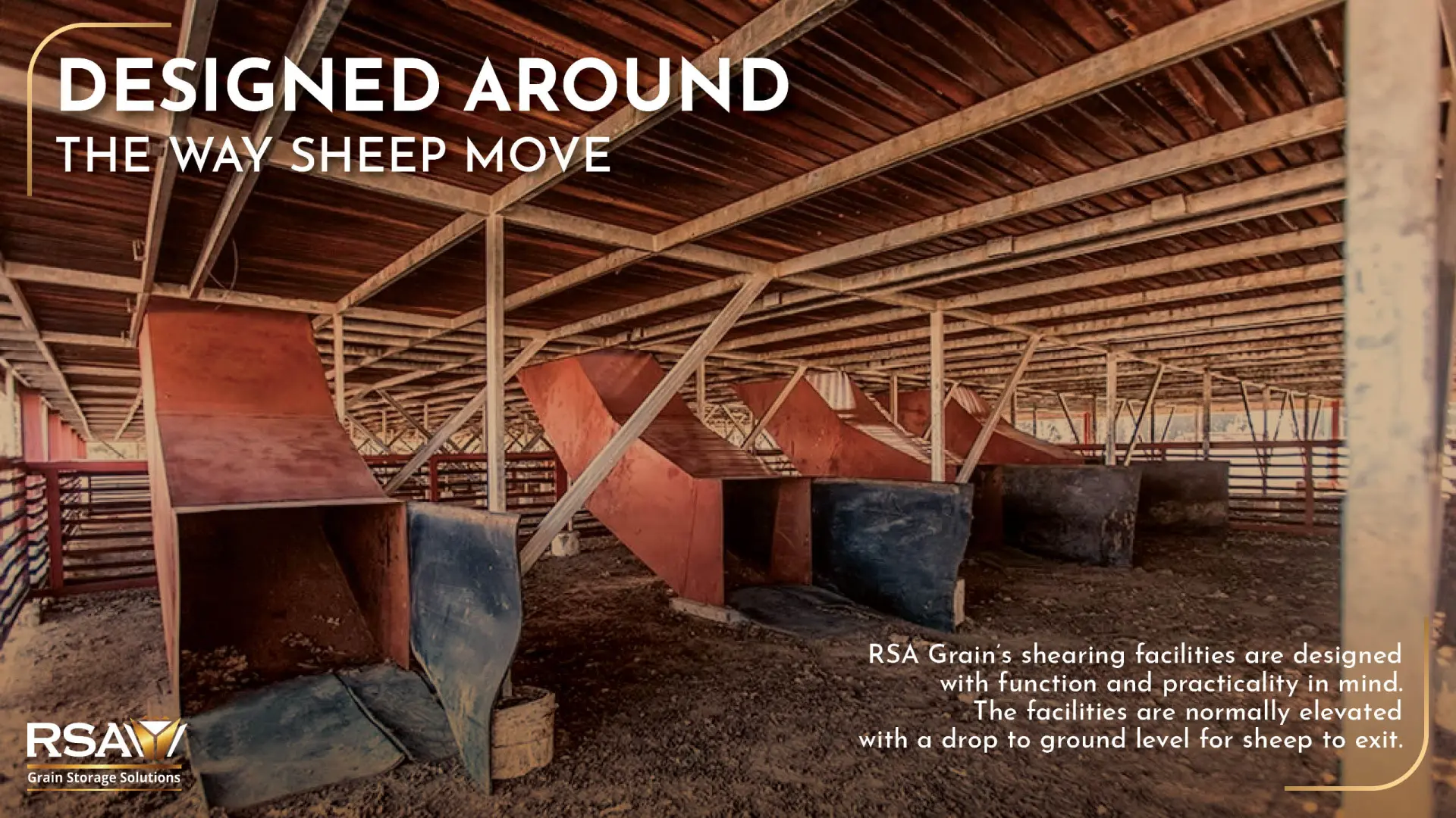 Preparation pens &amp; shearing facilities | RSA Grain Storage Solutions