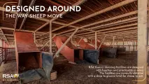 Preparation pens & shearing facilities | RSA Grain Storage Solutions