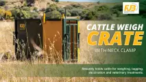Cattle Weigh Crate with Neck Clamp | FJB Equipment