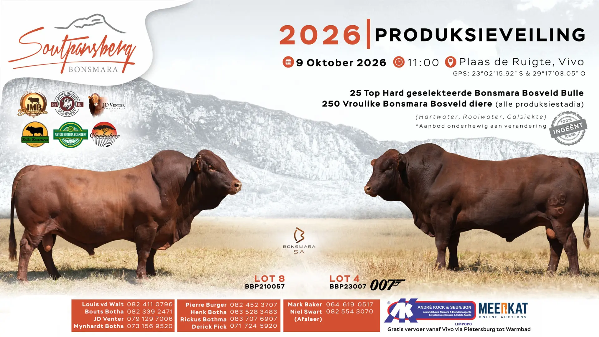 Soutpansberg Bonsmara 2026 Produksieveiling | 9 Oktober 2026 | 11:00 | Plaas de Ruigte, Vivo
