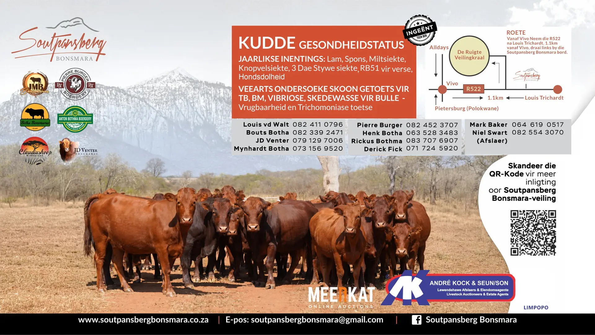 Soutpansberg Bonsmara 2026 Produksieveiling | 9 Oktober 2026 | 11:00 | Plaas de Ruigte, Vivo