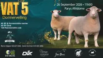 VAT 5 Dormerveiling | 26 September 2026 | 11:00 |  Parys Afridome 