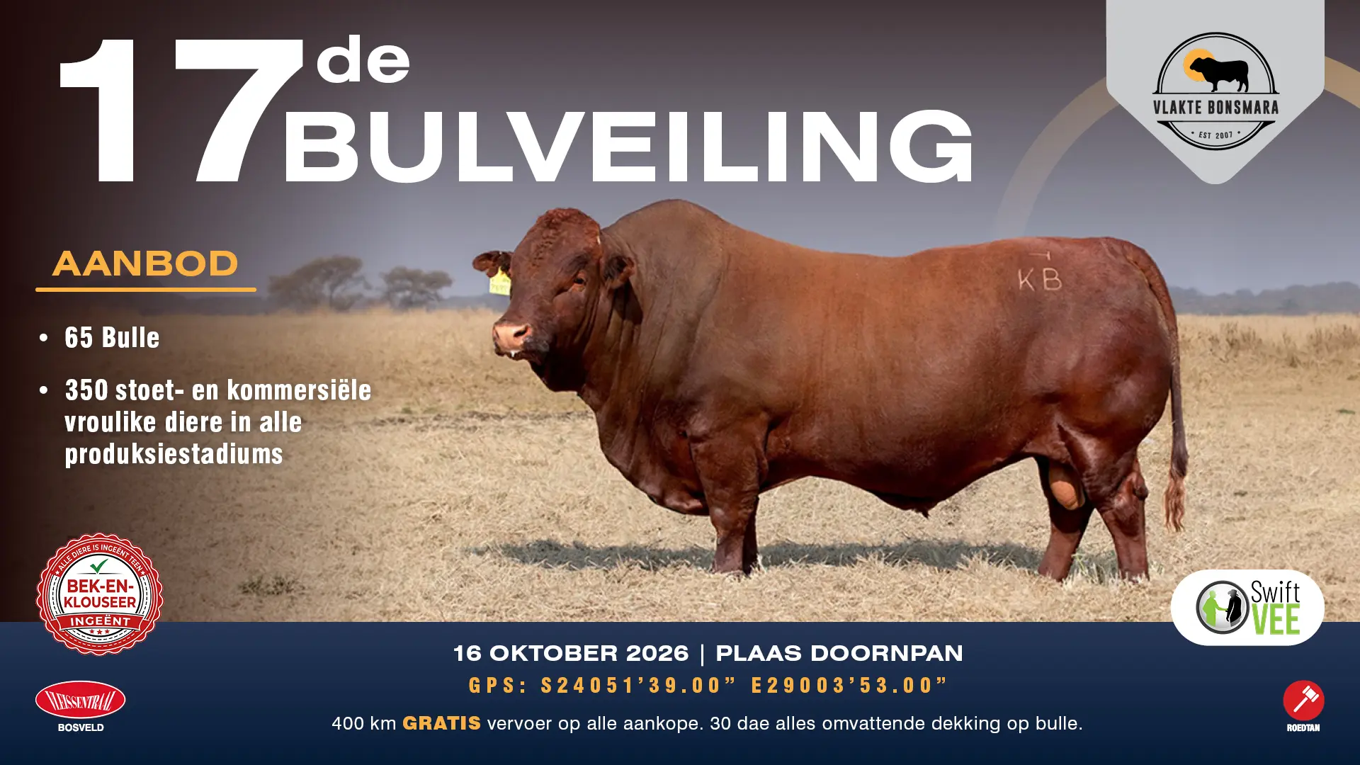 Vlakte Bonsmara 17de Bulveiling | 16 Oktober 2026 | 11:00 | Plaas Doornpan, Roedtan