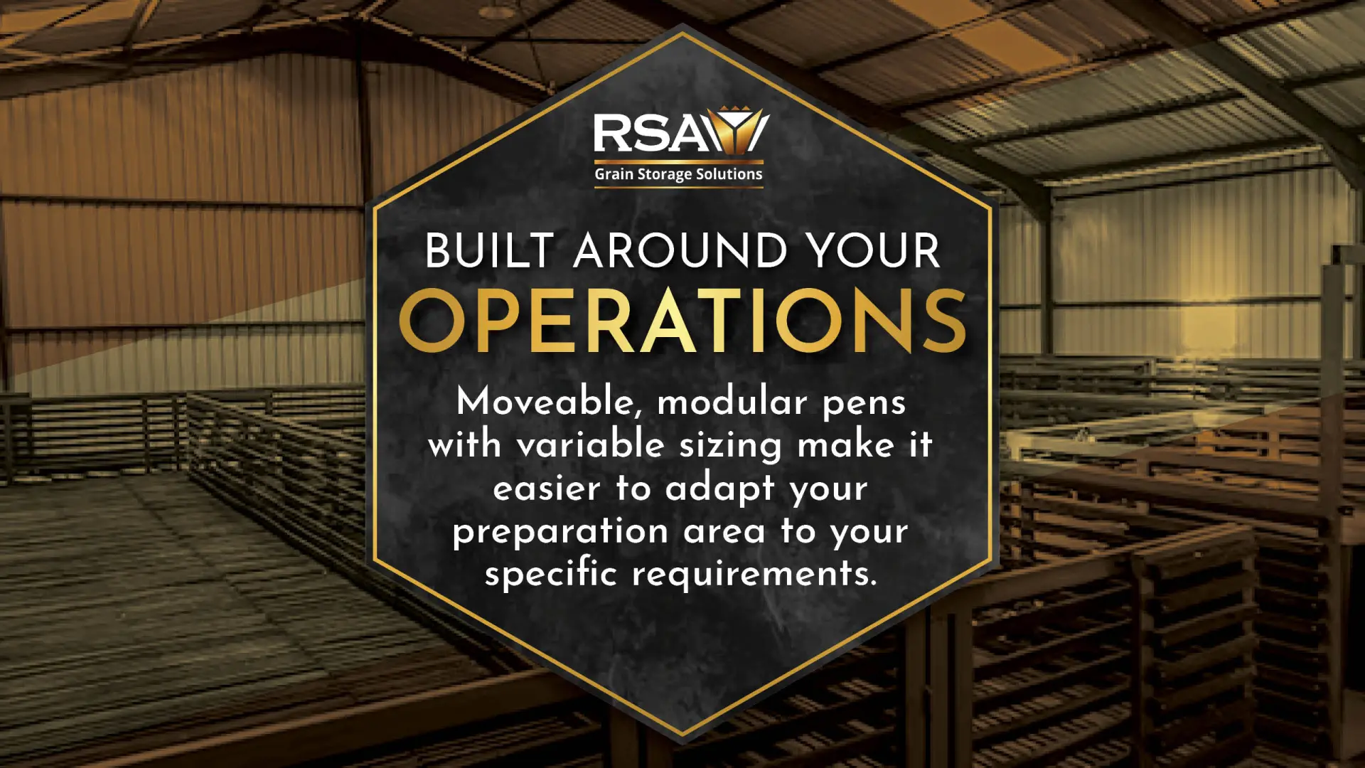 RSA Grain shearing &amp; preparation pens | Built around your operations