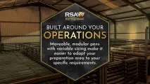 RSA Grain shearing & preparation pens | Built around your operations