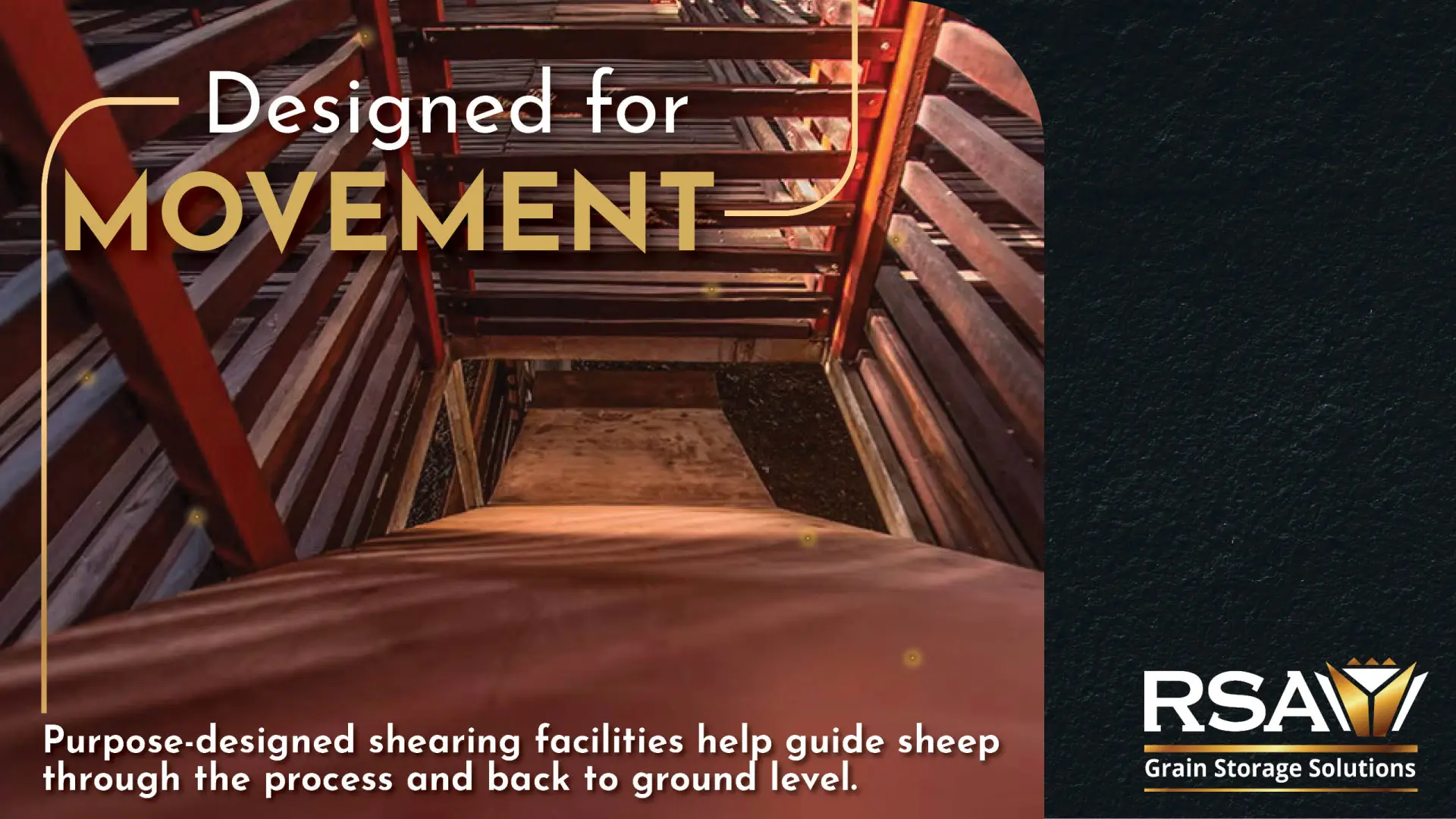 RSA Grain shearing facilities | Designed for movement &amp; easy flow