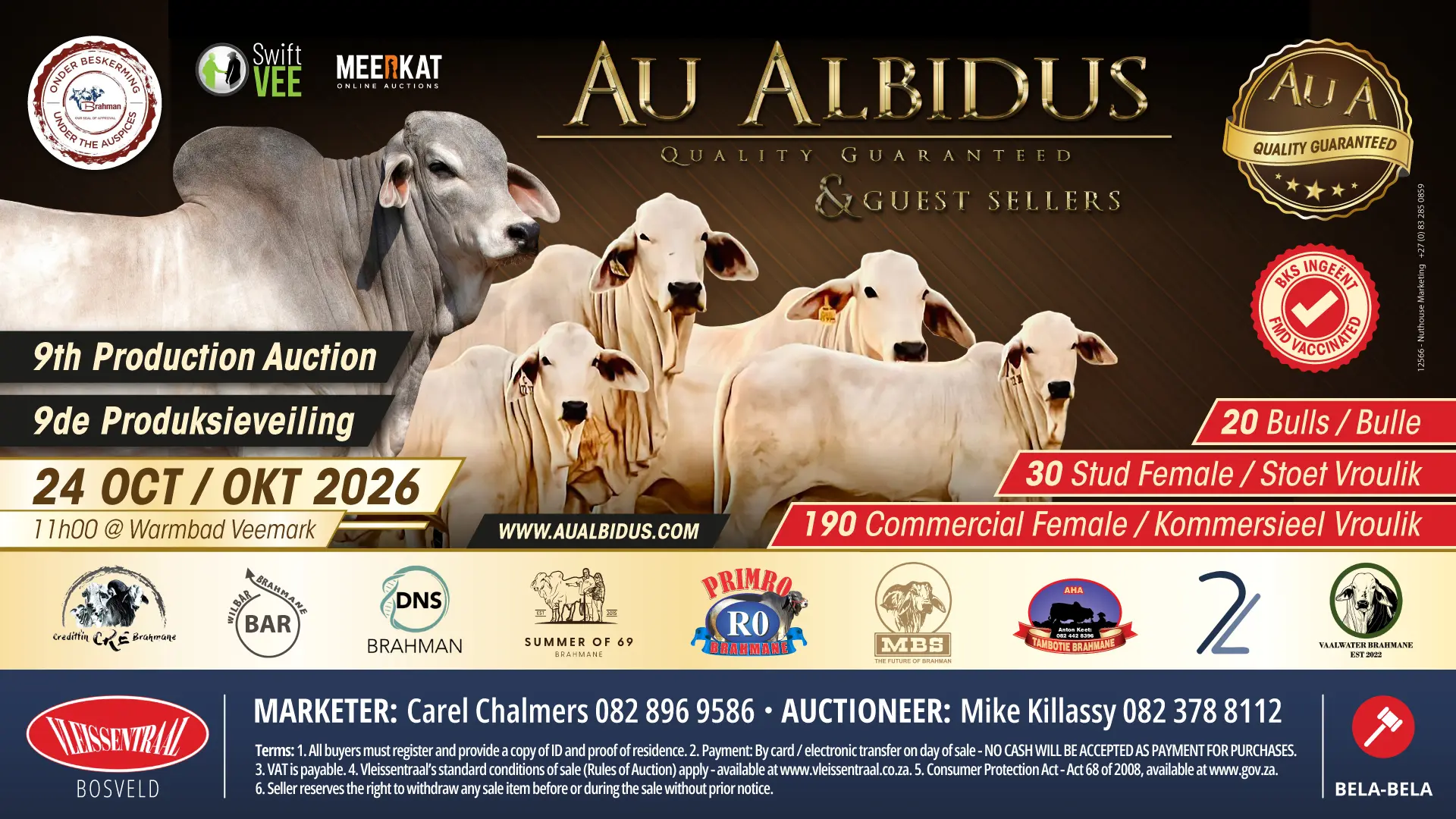 Au Albidus Quality Guaranteed &amp; Guest Sellers 9de Produksieveiling | 24 Oktober 2026 | 11H00 | Warmbad Veemark, Bela-Bela