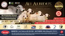 Au Albidus en Gasverkopers se 9de Produksieveiling | 24 Oktober 2026 | 11H00 | Warmbad Veemark, Bela-Bela