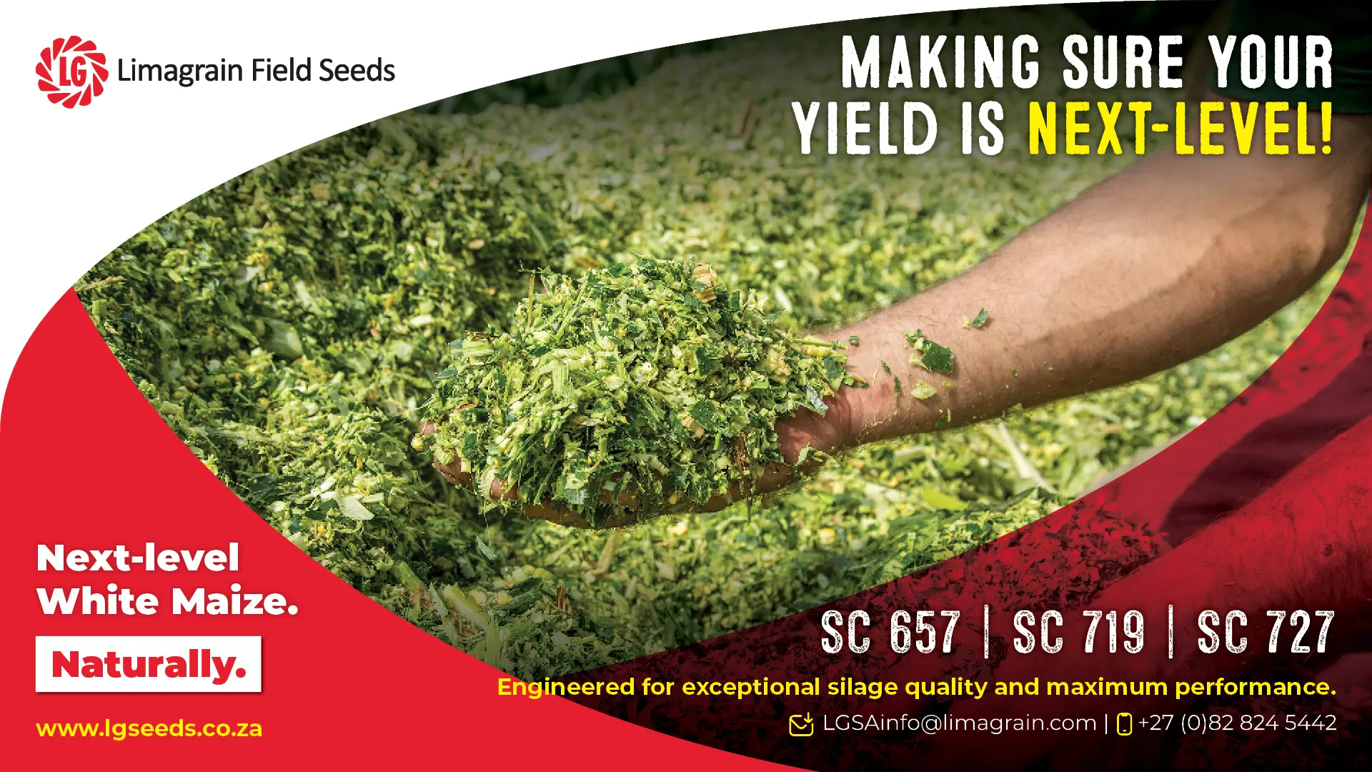High-yield silage champions: SC 657, SC 719 &amp; SC 727 white maize
