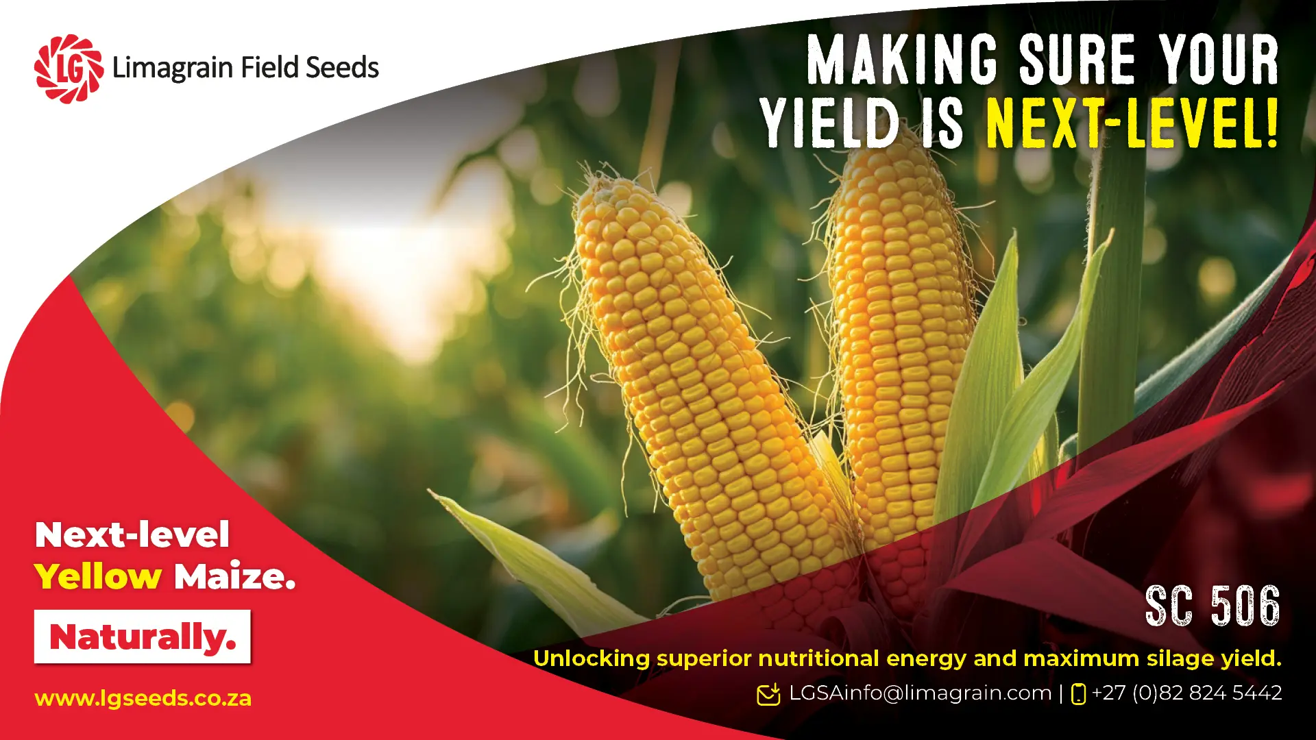 SC 506: Maximum silage yield meets superior nutrition