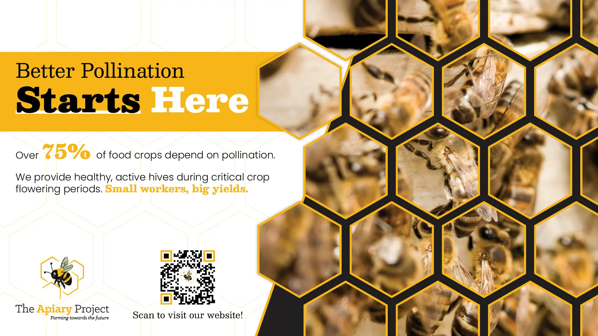 Hive management &amp; pollination services | The Apiary Project