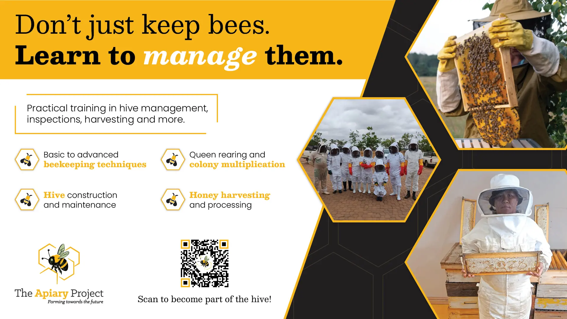 Beekeeping training &amp; practical skills development | The Apiary Project