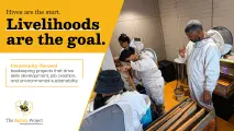 Beekeeping upliftment & training programmes | The Apiary Project