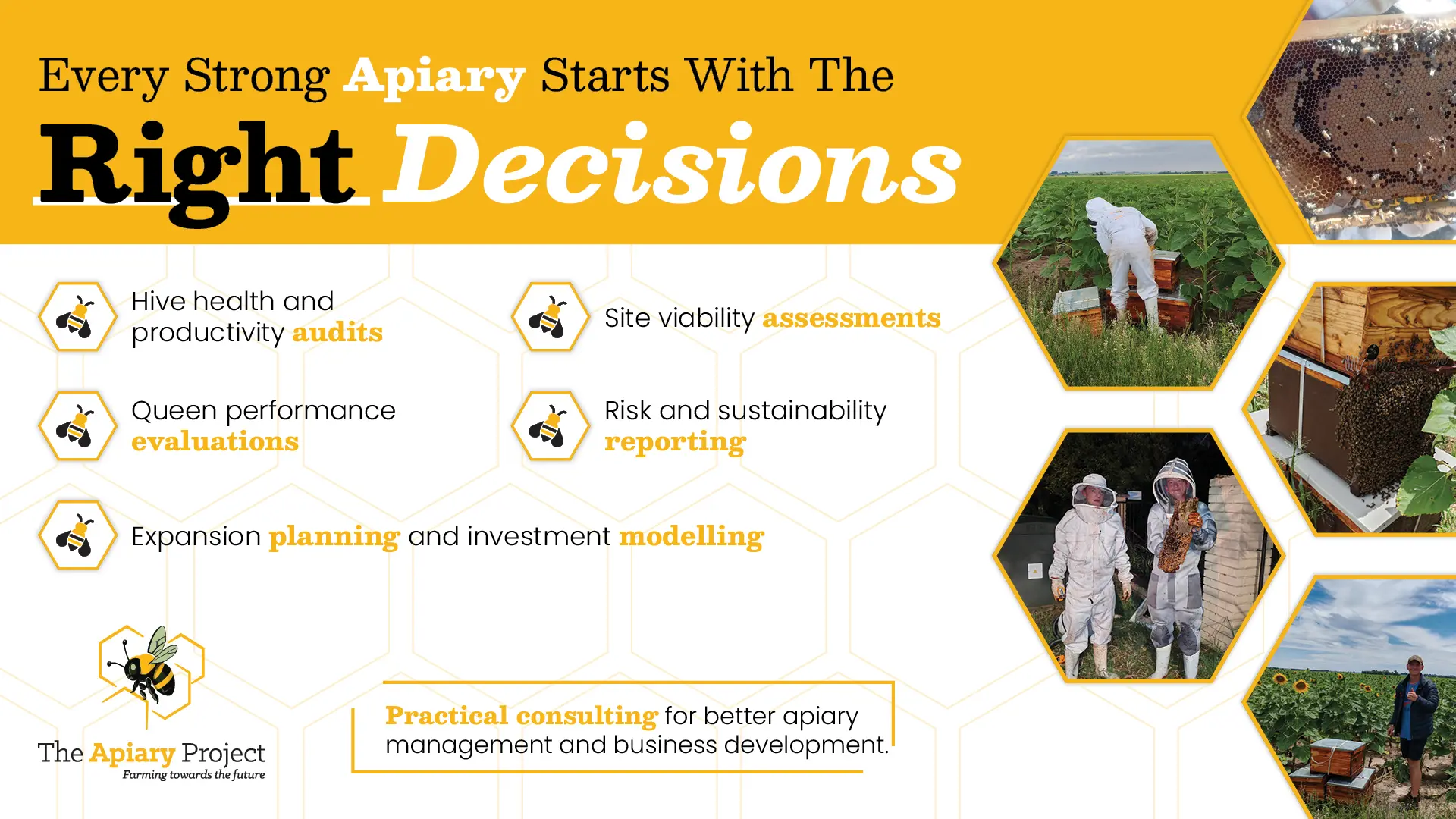 Professional beekeeping audits &amp; consulting services | The Apiary Project