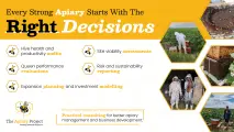 Professional beekeeping audits & consulting services | The Apiary Project