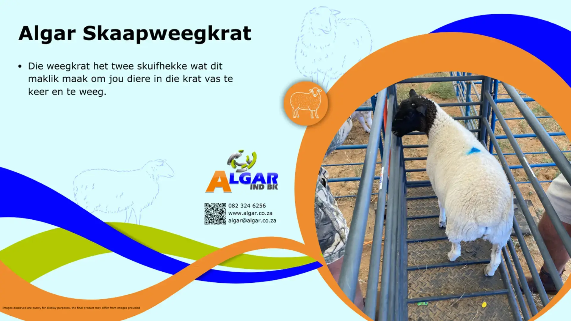 Algar sheep weigh crate / Algar skaapweegkrat