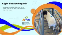 Algar sheep weigh crate / Algar skaapweegkrat