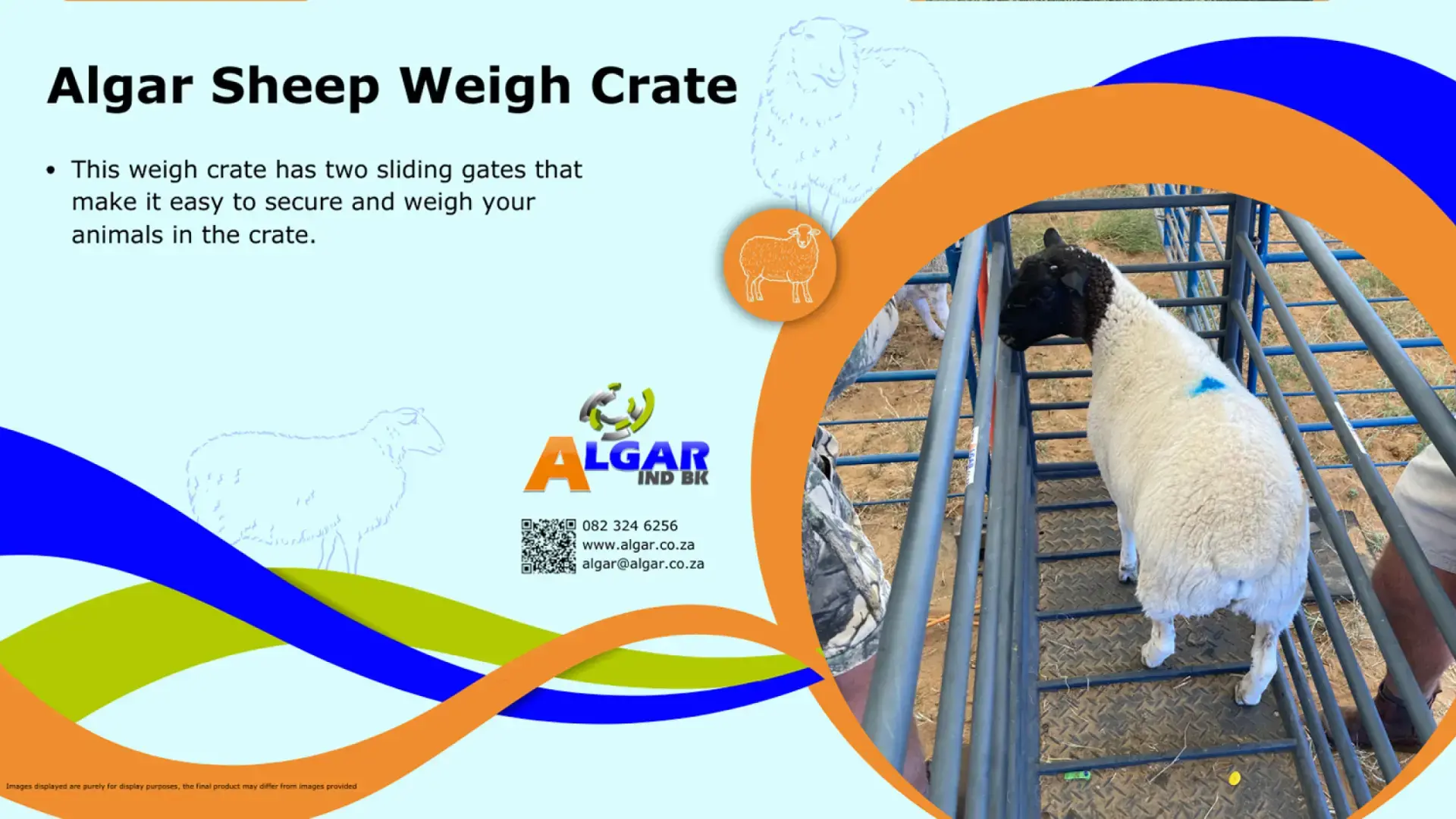 Algar sheep weigh crate / Algar skaapweegkrat