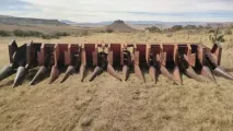 The 8 Row Screw Head | QAC Equipment