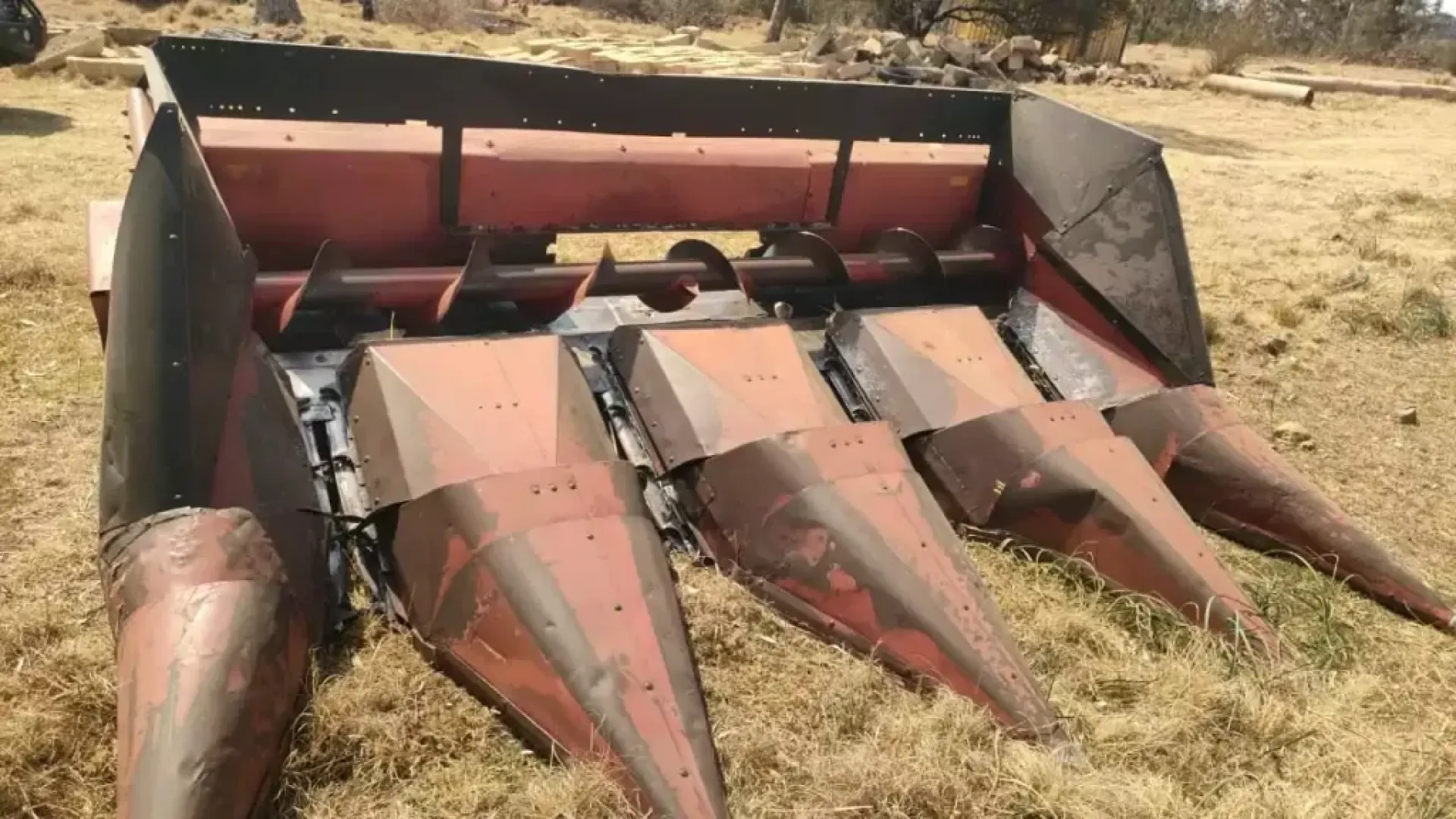 The Case 4row picker head | QAC Equipment