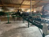 Dormas Potato was, sorter | Agrimar