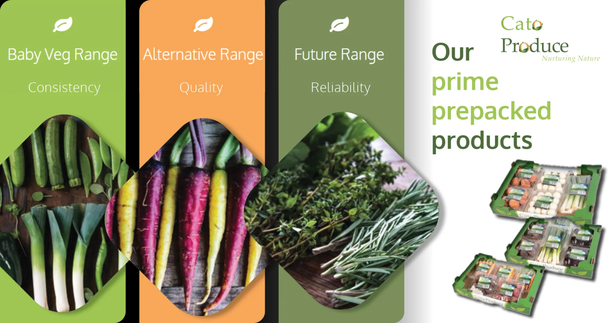 Our prime prepacked products | Cato Produce