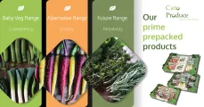 Our prime prepacked products | Cato Produce
