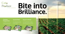 Bite into brilliance | Cato Produce
