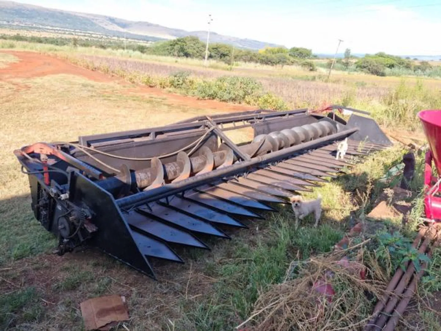 28ft sunflower table with reel | Agrimar