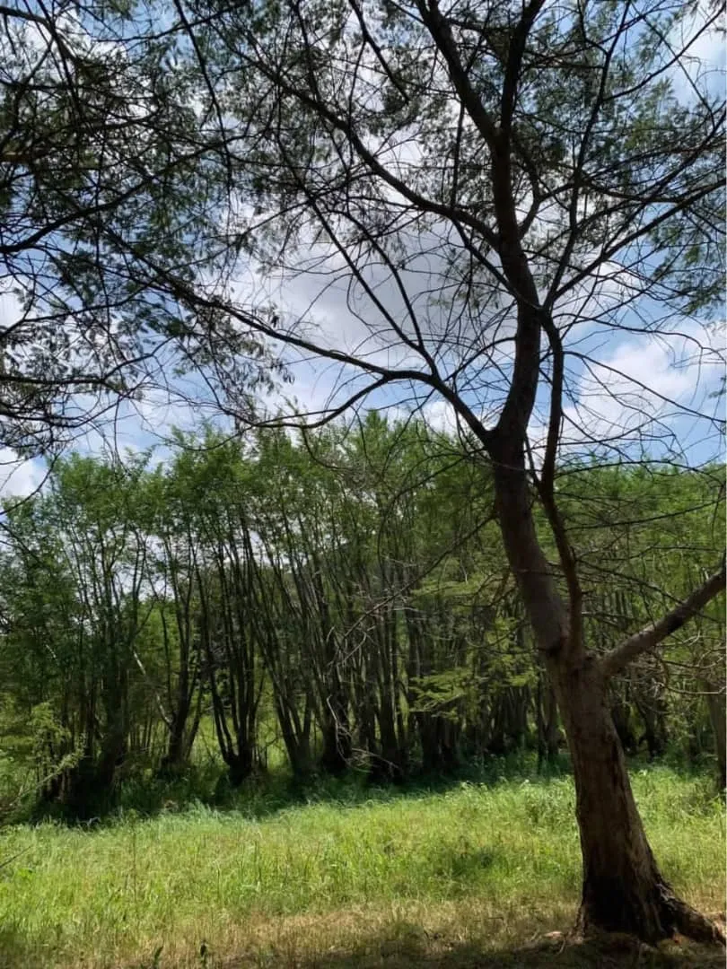 Kafue River frontage land on title