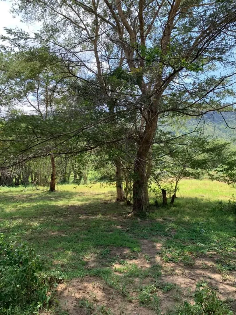 Kafue River frontage land on title