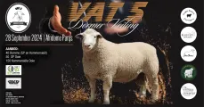 Vat 5 Dormerveiling | 28 September 2024 | Afridome Parys