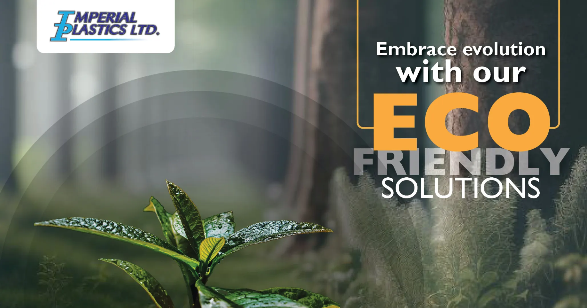 Embrace evolution with our eco friendly solutions | Imperial Plastics