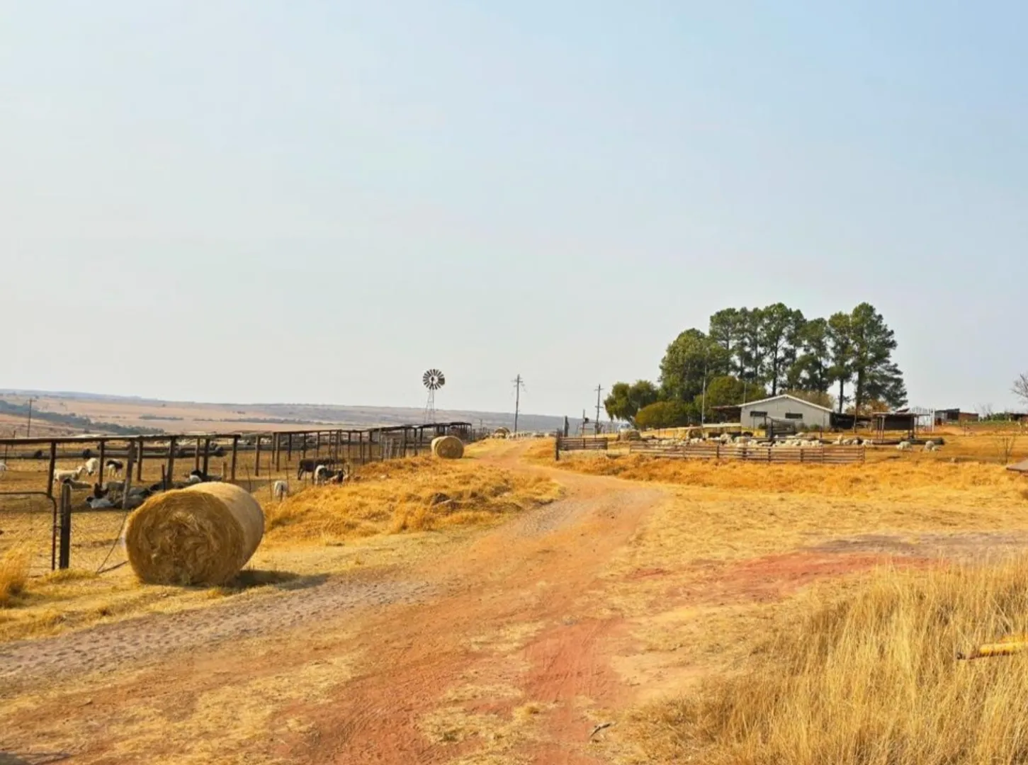 Prime 215 hectare farm with multiple income streams and development potential