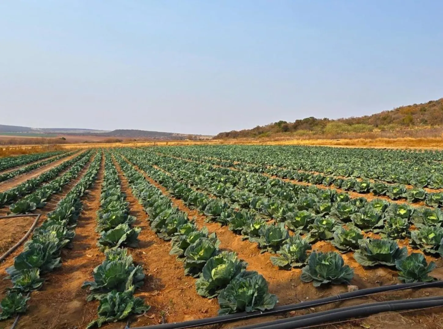 Prime 215 hectare farm with multiple income streams and development potential