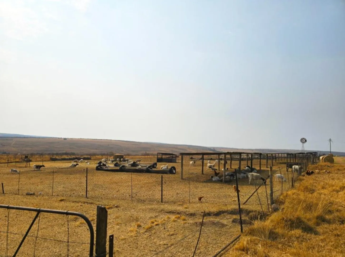 Prime 215 hectare farm with multiple income streams and development potential