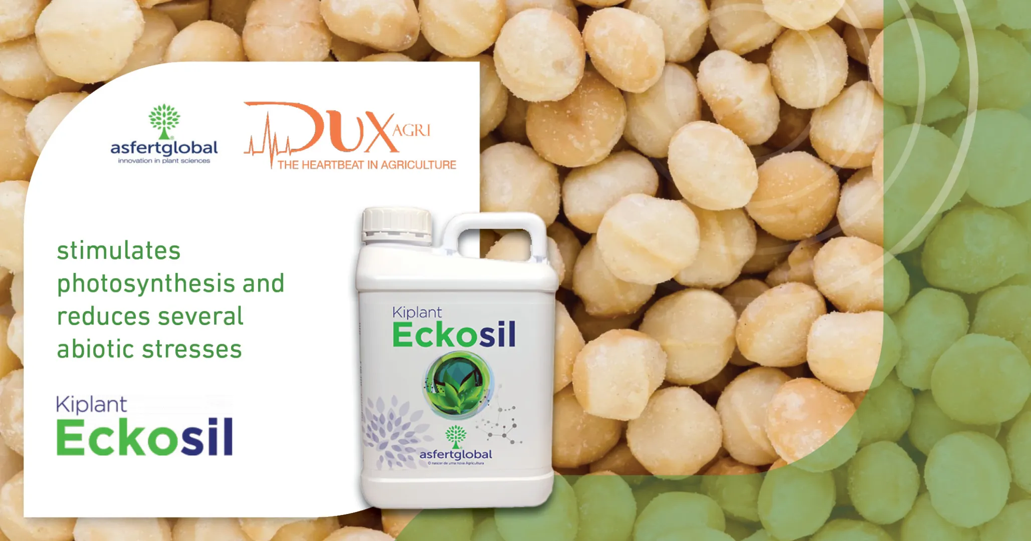 Eckosil | DuxAgri
