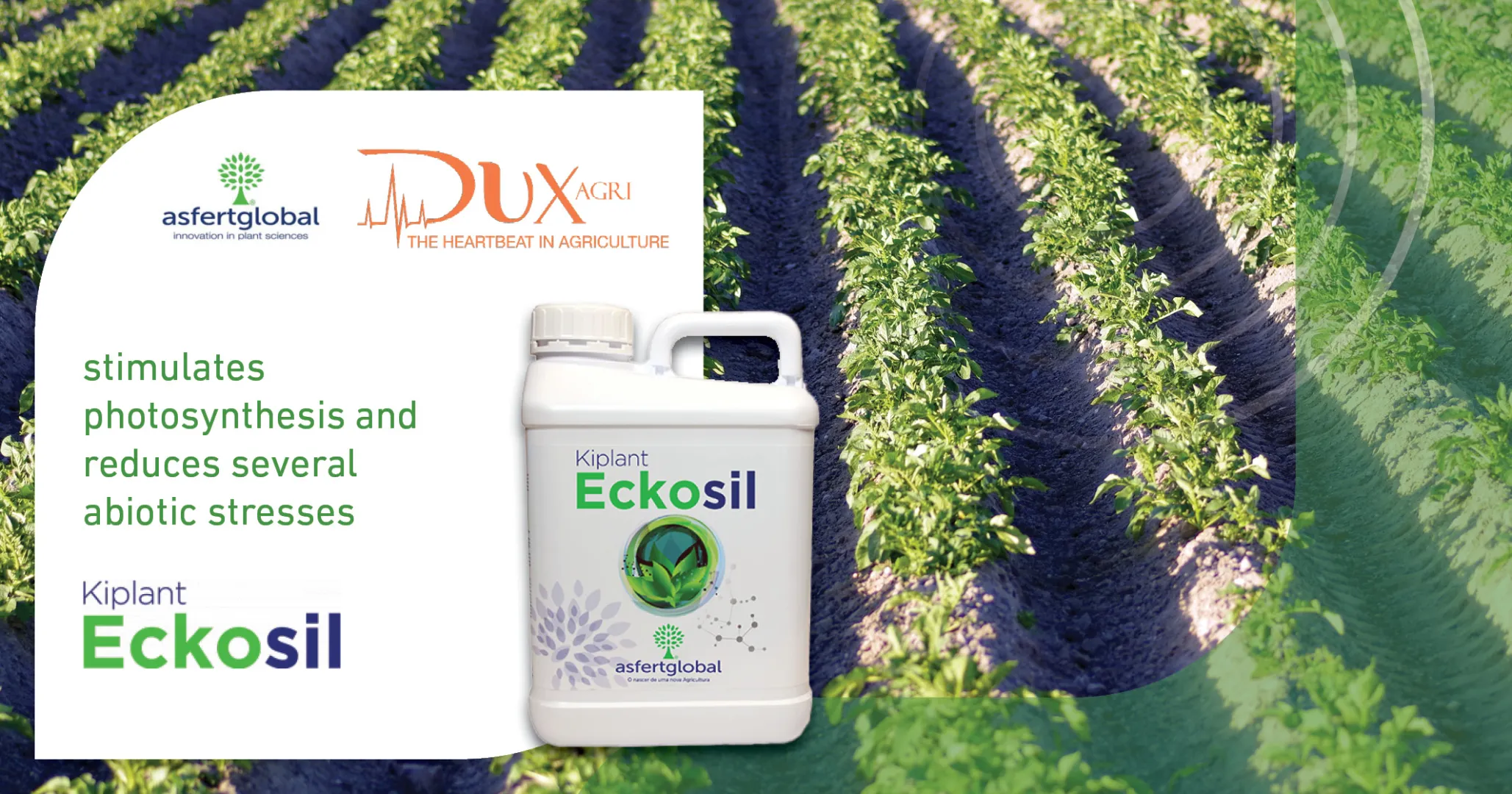 Eckosil | DuxAgri