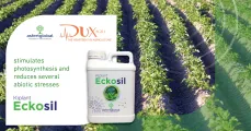 Eckosil | DuxAgri